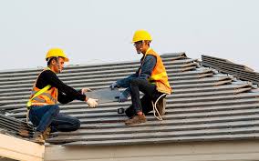 Best Roof Maintenance and Cleaning  in Annetta, TX